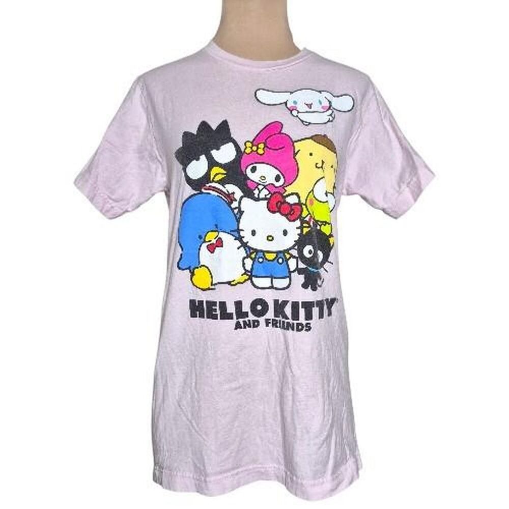 Hello Kitty and Friends Sanrio Pink Short Sleeve Graphic T-Shirt Size Small